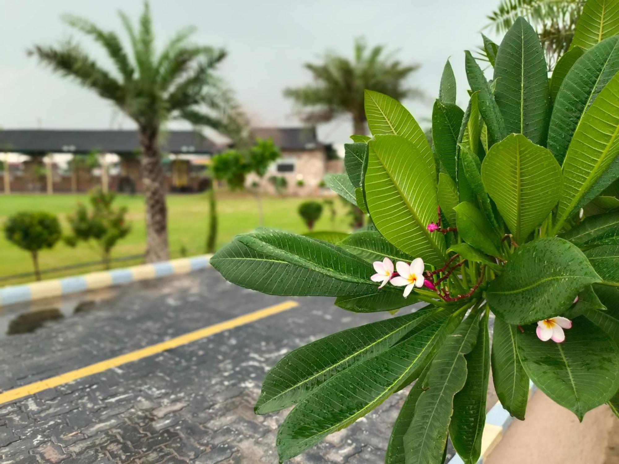 Royal Rajasthan Resort Sikar Eksteriør bilde